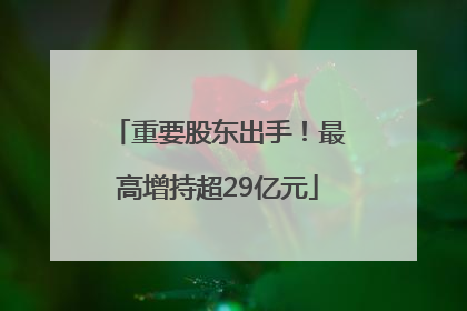 重要股东出手！最高增持超29亿元