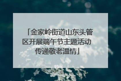 金家岭街道山东头管区开展端午节主题活动 传递敬老温情