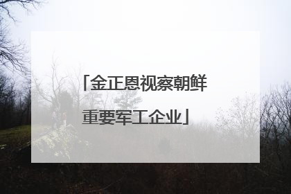 金正恩视察朝鲜重要军工企业