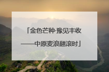 金色芒种·豫见丰收——中原麦浪翻滚时