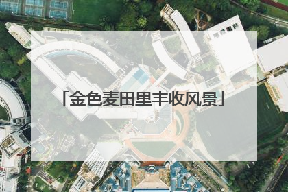金色麦田里丰收风景
