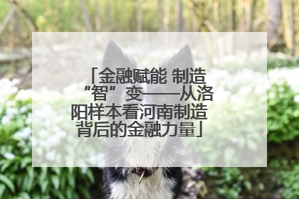 金融赋能 制造“智”变——从洛阳样本看河南制造背后的金融力量