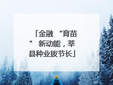 金融 “育苗” 新动能，莘县种业拔节长