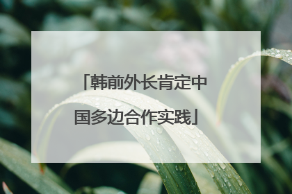韩前外长肯定中国多边合作实践