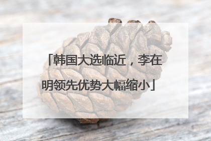 韩国大选临近，李在明领先优势大幅缩小