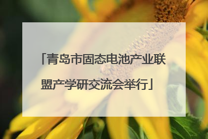 青岛市固态电池产业联盟产学研交流会举行