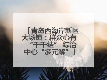 青岛西海岸新区大场镇：群众心有“千千结” 综治中心“多元解”