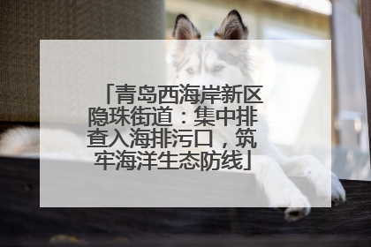 青岛西海岸新区隐珠街道：集中排查入海排污口，筑牢海洋生态防线