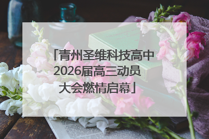 青州圣维科技高中2026届高三动员大会燃情启幕