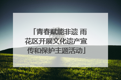 青春赋能非遗 雨花区开展文化遗产宣传和保护主题活动