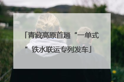 青藏高原首趟“一单式”铁水联运专列发车
