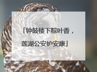 钟鼓楼下粽叶香，莲湖公安护安康
