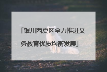 银川西夏区全力推进义务教育优质均衡发展