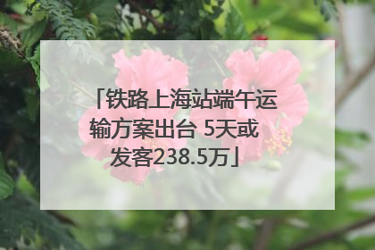 铁路上海站端午运输方案出台 5天或发客238.5万