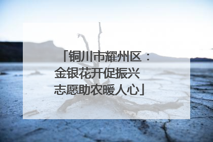 铜川市耀州区：金银花开促振兴 志愿助农暖人心