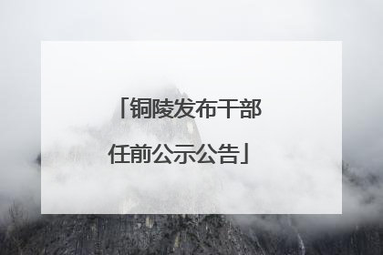 铜陵发布干部任前公示公告