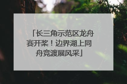 长三角示范区龙舟赛开桨！边界湖上同舟竞渡展风采
