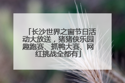 长沙世界之窗节日活动大放送，猪猪侠乐园趣跑赛、抓鸭大赛、网红挑战全都有