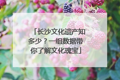 长沙文化遗产知多少？一组数据带你了解文化瑰宝