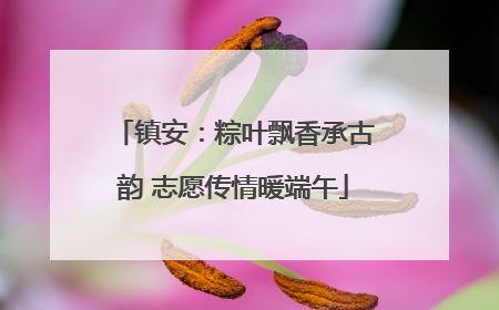 镇安：粽叶飘香承古韵 志愿传情暖端午