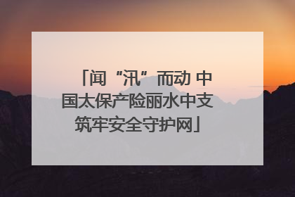 闻“汛”而动 中国太保产险丽水中支筑牢安全守护网
