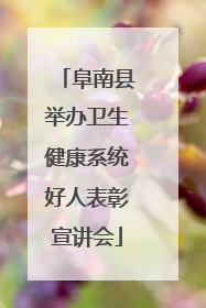 阜南县举办卫生健康系统好人表彰宣讲会