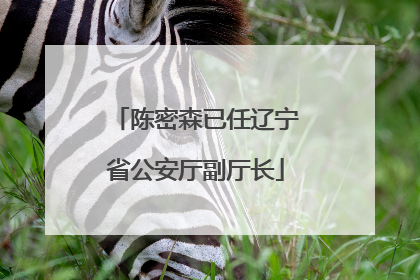 陈密森已任辽宁省公安厅副厅长