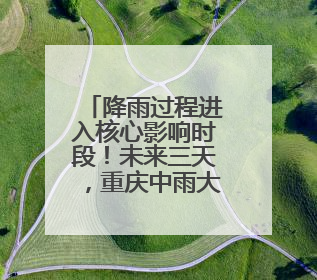 降雨过程进入核心影响时段！未来三天，重庆中雨大雨暴雨