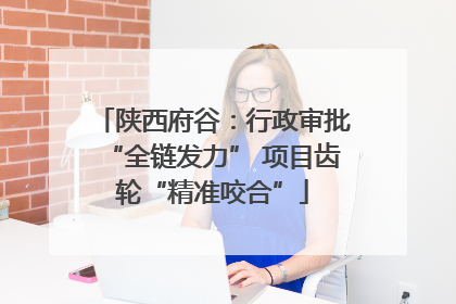 陕西府谷：行政审批“全链发力” 项目齿轮“精准咬合”