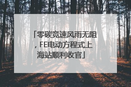 零碳竞速风雨无阻，FE电动方程式上海站顺利收官