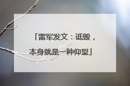 雷军发文：诋毁，本身就是一种仰望