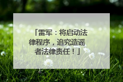 雷军：将启动法律程序，追究造谣者法律责任！