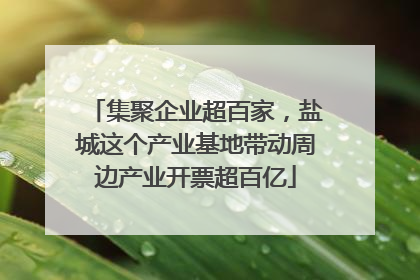 集聚企业超百家，盐城这个产业基地带动周边产业开票超百亿