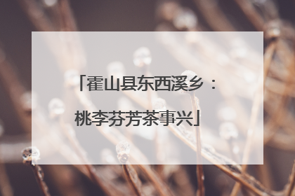 霍山县东西溪乡：桃李芬芳茶事兴