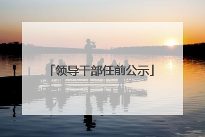 领导干部任前公示