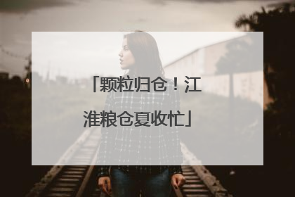 颗粒归仓！江淮粮仓夏收忙