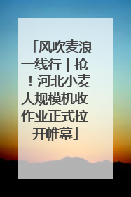 风吹麦浪一线行｜抢！河北小麦大规模机收作业正式拉开帷幕