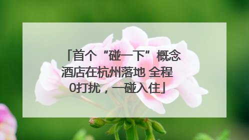 首个“碰一下”概念酒店在杭州落地 全程0打扰，一碰入住