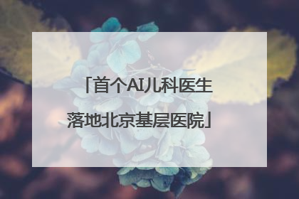 首个AI儿科医生落地北京基层医院