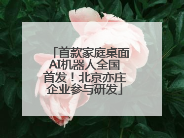 首款家庭桌面AI机器人全国首发！北京亦庄企业参与研发