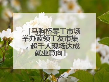 马驹桥零工市场举办蓝领工友市集，超千人现场达成就业意向