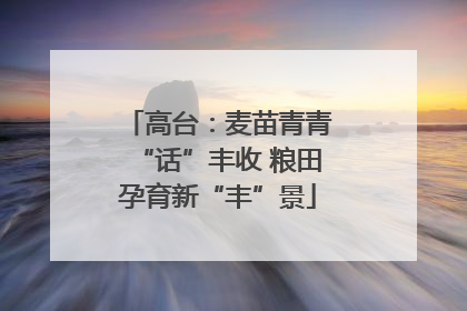 高台：麦苗青青“话”丰收 粮田孕育新“丰”景