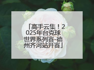 高手云集！2025年台克球世界系列赛-德州齐河站开赛
