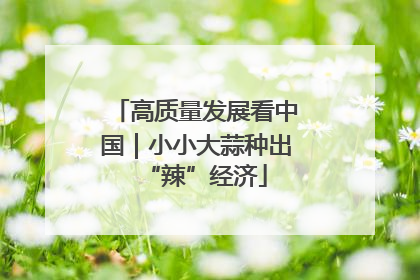高质量发展看中国｜小小大蒜种出“辣”经济