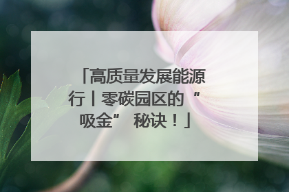 高质量发展能源行丨零碳园区的“吸金” 秘诀！