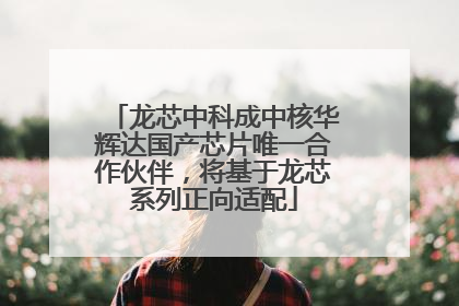 龙芯中科成中核华辉达国产芯片唯一合作伙伴，将基于龙芯系列正向适配