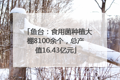 鱼台：食用菌种植大棚8100余个，总产值16.43亿元