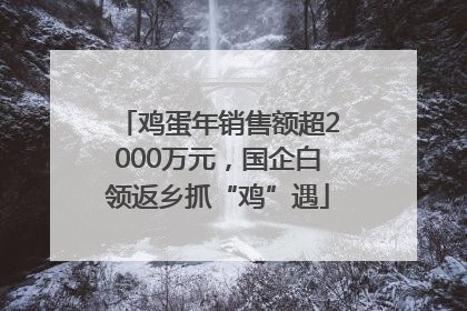 鸡蛋年销售额超2000万元，国企白领返乡抓“鸡”遇