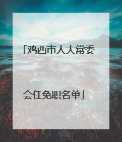 鸡西市人大常委会任免职名单