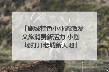 鹿城特色小业态激发文旅消费新活力 小剧场打开老城新天地